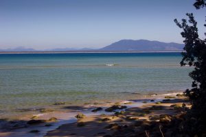 The Beach right in front of the campground at Trial Bay, NSW, Australia