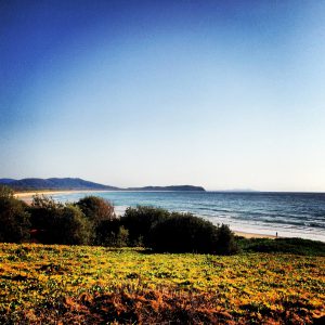 Morning ocean views at a lookout on Point Plomer Road, Australia
