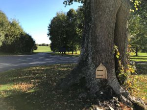The grounds of Norton Park Hotel, Winchester.
