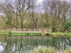Views of the River Itchen