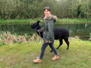 Walking my alapca Whisky Joe along side the River Itchen.
