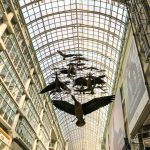 Eaton Centre, Canada geese, Toronto.