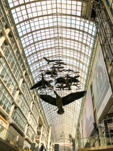 Eaton Centre, Canada geese, Toronto.