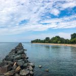 Views of a Beach on Toronto Island.