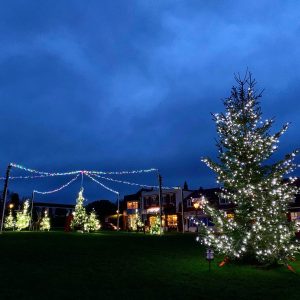 Christmas Tree, Milford on Sea